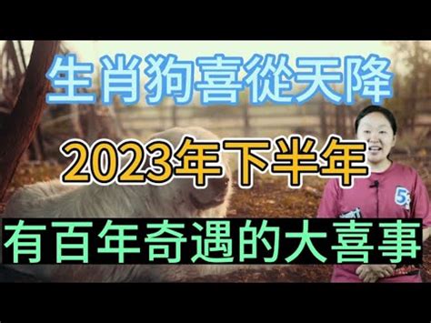 屬狗買房座向|【82年屬狗風水樓層】82年屬狗買房子方位注意規避一些不吉方。